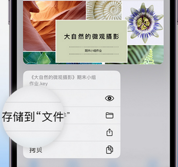 海伦apple维修中心分享iPhone文件应用中存储和找到下载文件