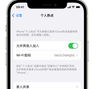 海伦apple服务站点分享iPhone上个人热点丢失了怎么办 