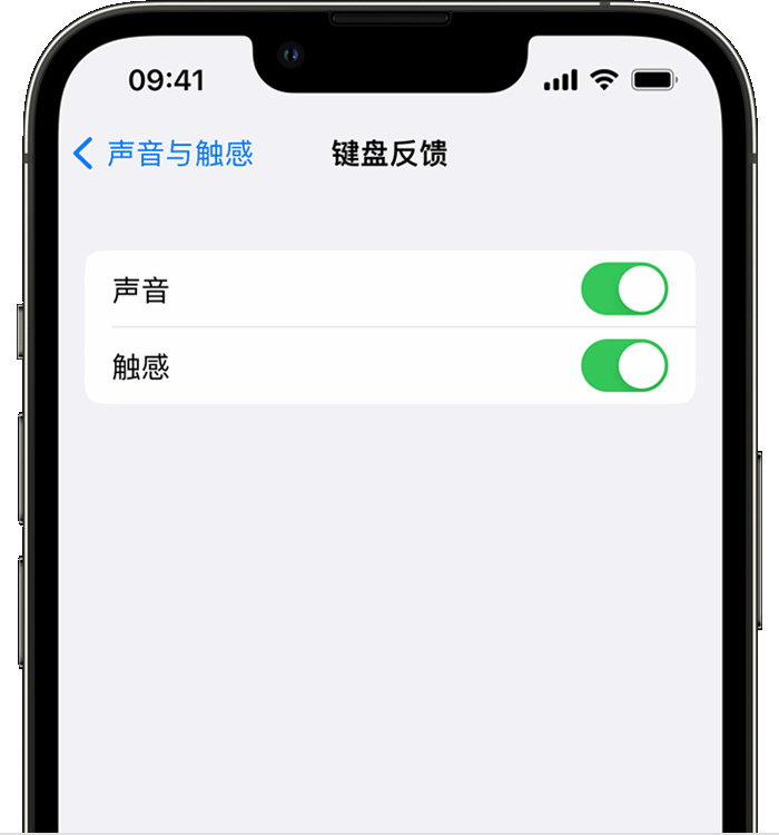 海伦苹果14维修店分享如何在 iPhone 14 机型中使用触感键盘 