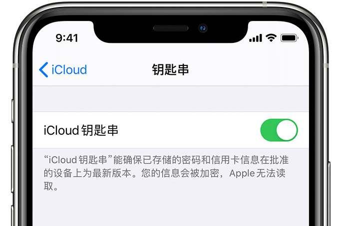 海伦苹果手机维修分享在 iPhone 上开启 iCloud 钥匙串之后会储存哪些信息 