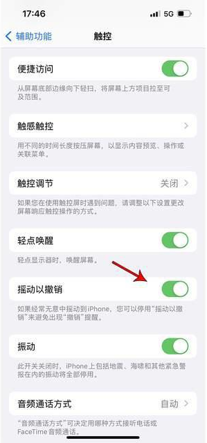 海伦苹果手机维修分享iPhone手机如何设置摇一摇删除文字 